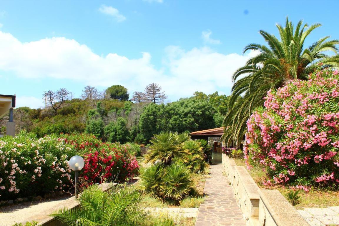 Residence Les Oliviers Porto Azzurro Eksteriør billede