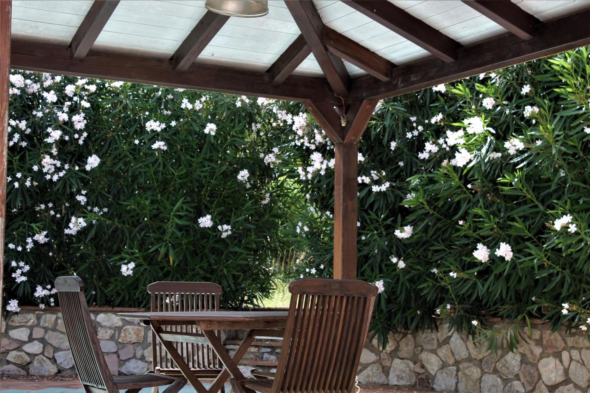 Residence Les Oliviers Porto Azzurro Eksteriør billede