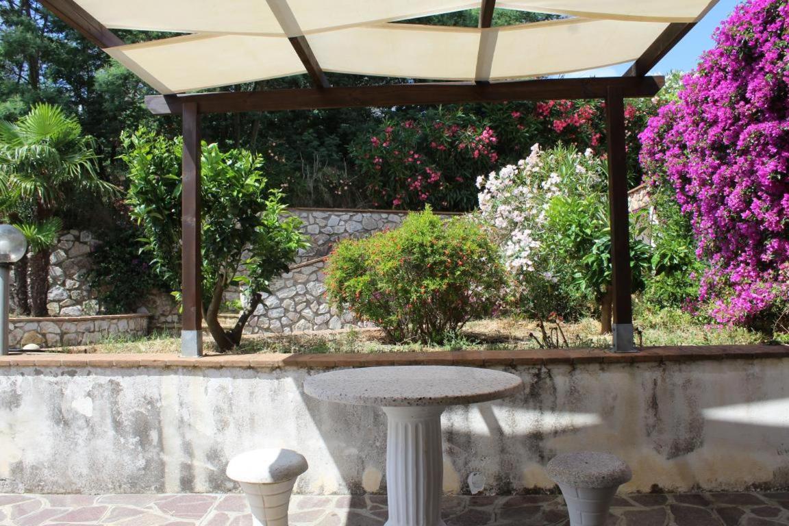 Residence Les Oliviers Porto Azzurro Eksteriør billede