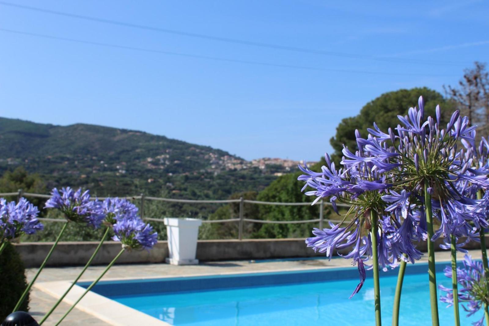 Residence Les Oliviers Porto Azzurro Eksteriør billede