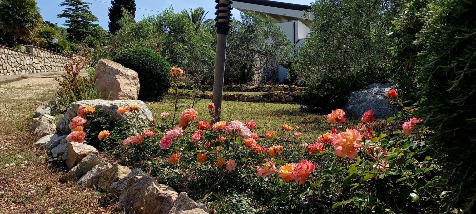 Residence Les Oliviers Porto Azzurro Eksteriør billede